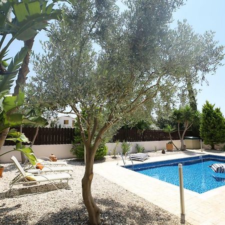 Unique Beach Luxurious Villas Ayia Napa Exteriér fotografie