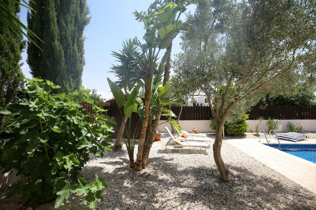 Unique Beach Luxurious Villas Ayia Napa Exteriér fotografie